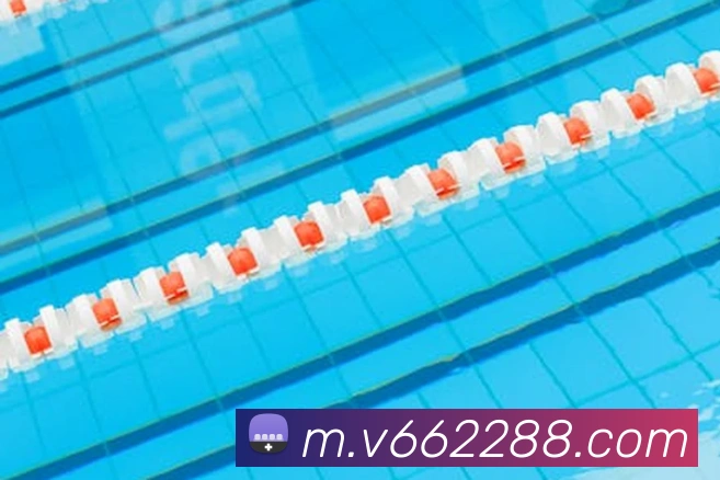 v66品牌故事